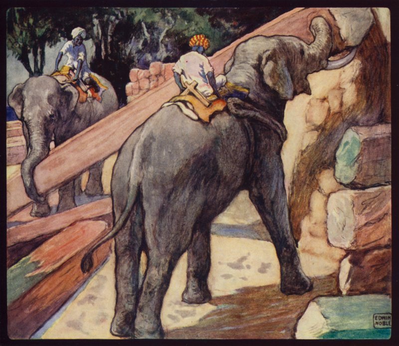 Słonie palujące Teak (kolor lito) autorstwa Edwin Noble