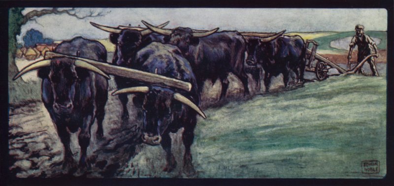 Woły orka na Sussex Downs (kolor lito) autorstwa Edwin Noble