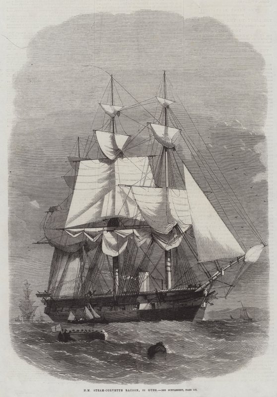HM Steam-Corvette Racoon, 22 pistolety autorstwa Edwin Weedon