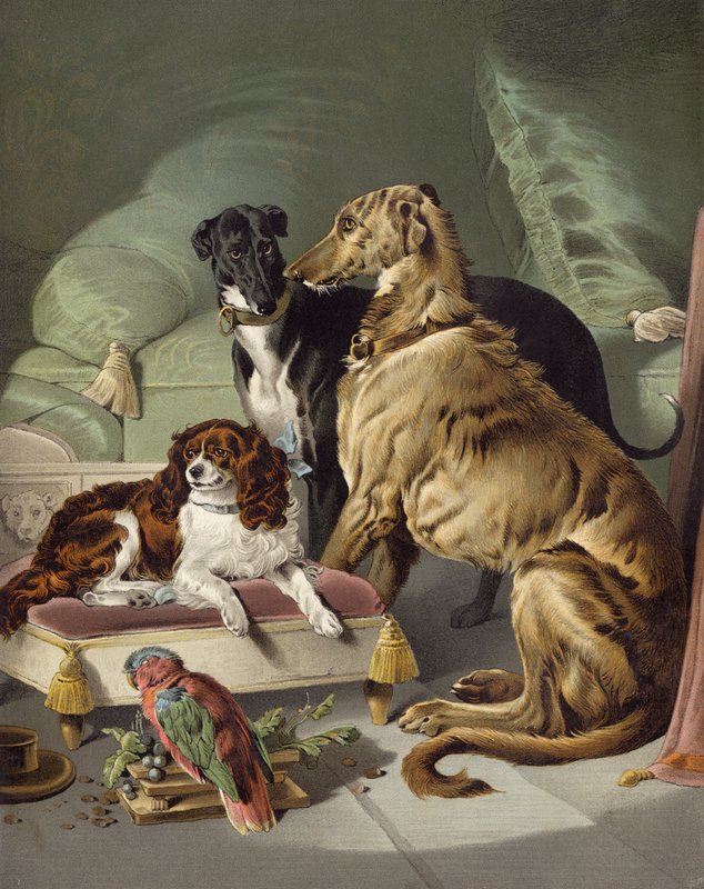 Dash, Hector, Nero i Lory autorstwa Edwin after Landseer