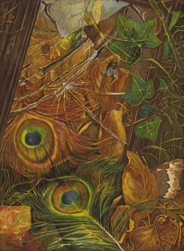 A dziecko nie przejmowało się lustrem (kolor lito) autorstwa Eleanor Fortescue Brickdale