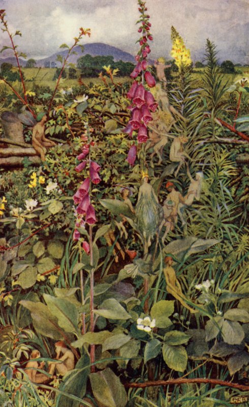 Ginewra (kolor lito) autorstwa Eleanor Fortescue Brickdale