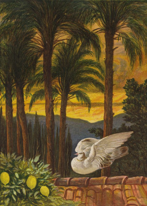 Ogród starożytnych palm (kolor lito) autorstwa Eleanor Fortescue Brickdale