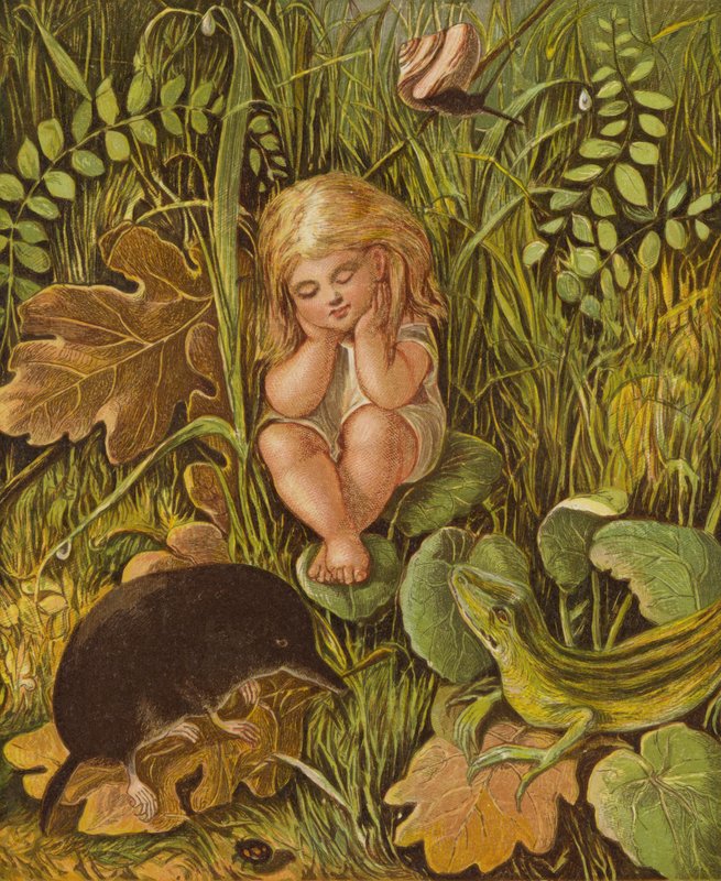 Dwa złe języki (kolor lito) autorstwa Eleanor Fortescue Brickdale