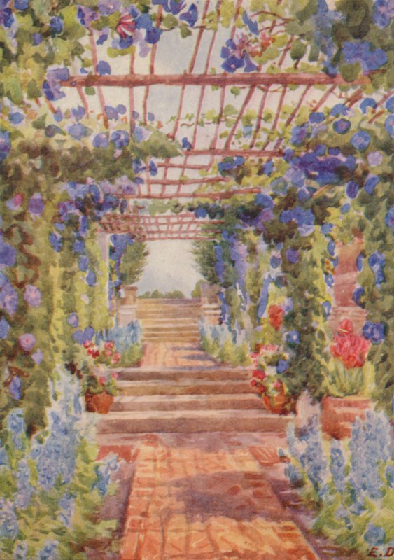 Pergola pokryta niebieskim Ipomoea Learii de Grendel, Tygerberg (kolorowa litografia) autorstwa Elizabeth Drake