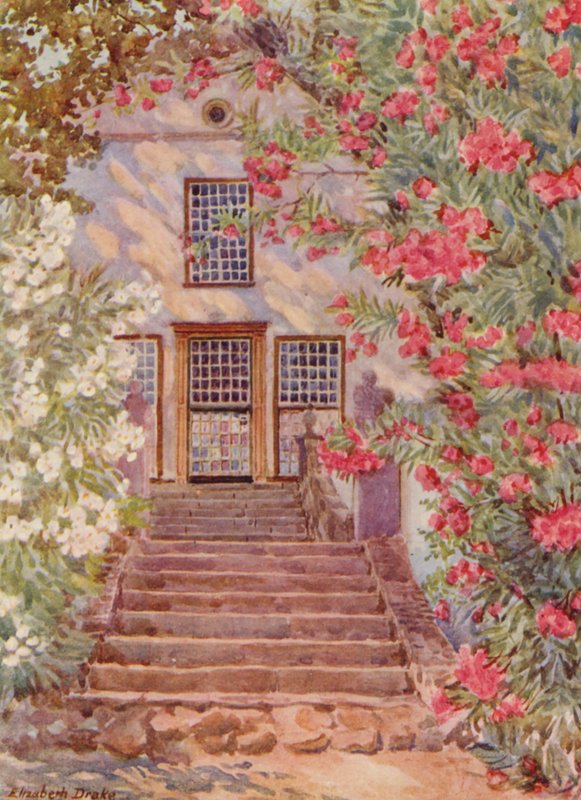 Różowe i białe oleandry, Alphen, Wynberg (kolorowa litografia) autorstwa Elizabeth Drake