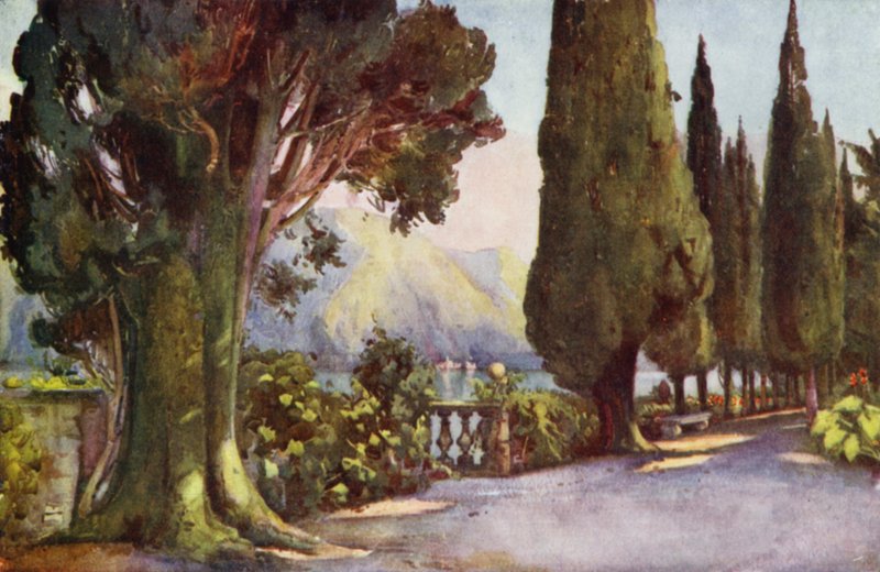 Cypress Avenue, Villa del Pizzo, Jezioro Como (kolor lito) autorstwa Ella Du Cane