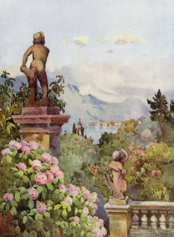 Hortensje, Isola Bella, Lago Maggiore (kolor lito) autorstwa Ella Du Cane