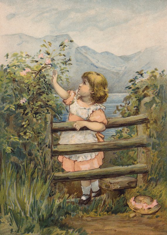 Dziewczyna sięgająca po kwiat (chromolitho) autorstwa Emily Jane Harding Andrews