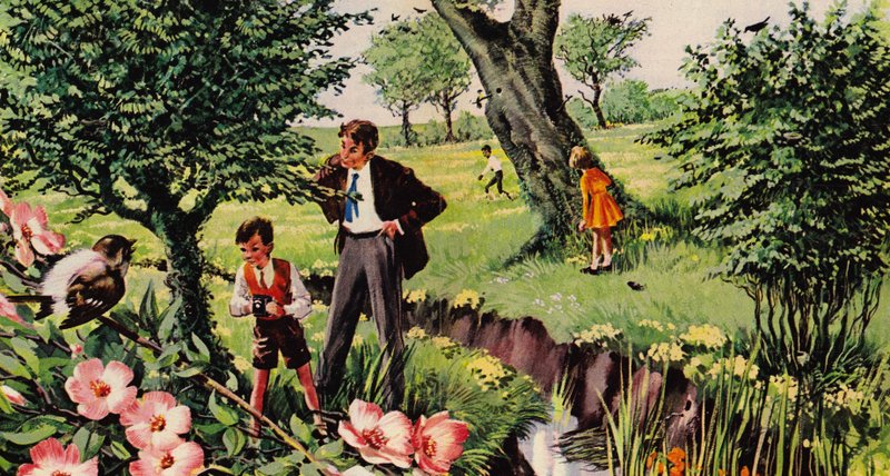 Ptaki i ich gniazda autorstwa English School