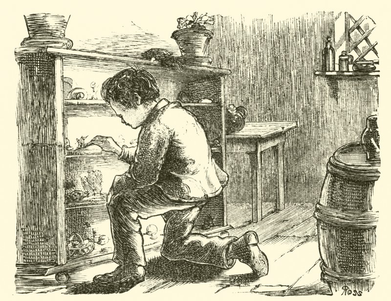 Edward Forbes, aranżujący swoje miniaturowe muzeum autorstwa English School