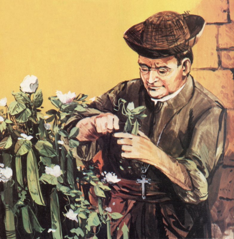 Johann Mendel pracujący w swoim klasztornym ogrodzie autorstwa English School