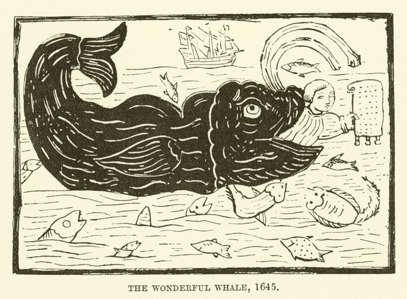 Cudowny wieloryb, 1645 autorstwa English School