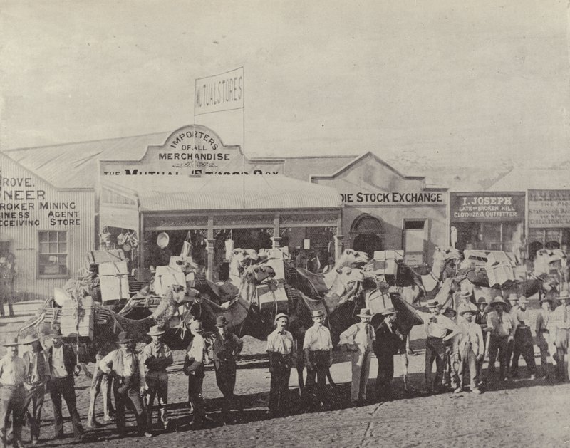 Pociąg na wielbłądach, Coolgardie, Zachodnia Australia autorstwa English Photographer