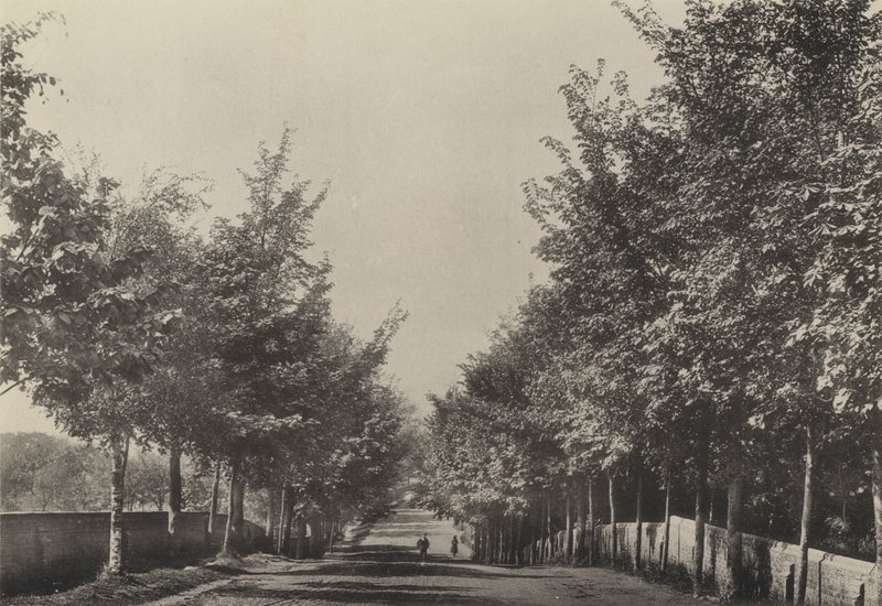 Aldeburgh, Westfields Avenue (zdjęcie czarno-białe) autorstwa English Photographer