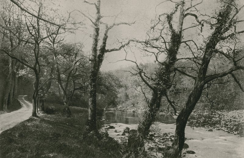 Bolton Woods autorstwa English Photographer