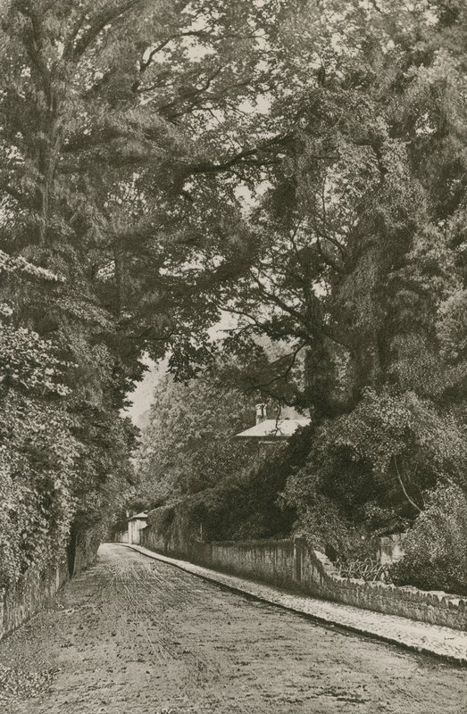 Bonchurch Road, Wyspa Wight autorstwa English Photographer