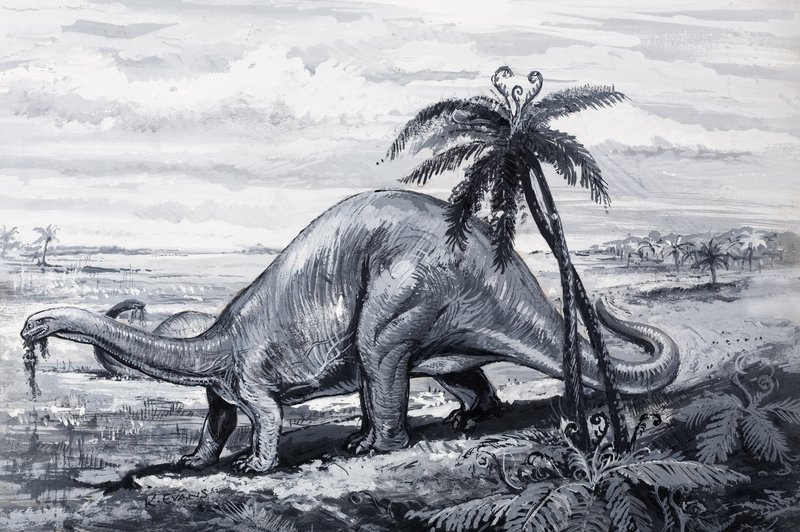Brontozaur autorstwa English Photographer
