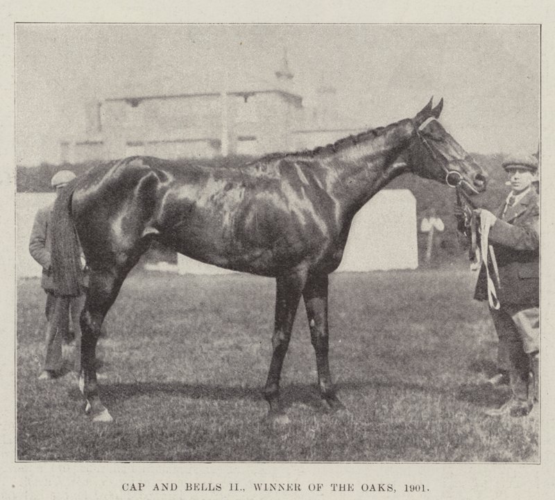 Cap and Bells II, Zwycięzca Dębów, 1901 autorstwa English Photographer