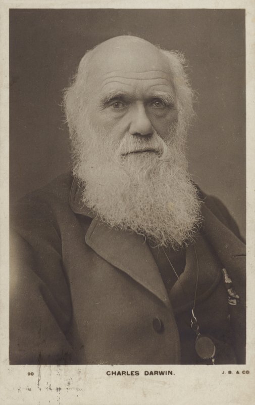 Karol Darwin (1809-1882), angielski przyrodnik autorstwa English Photographer