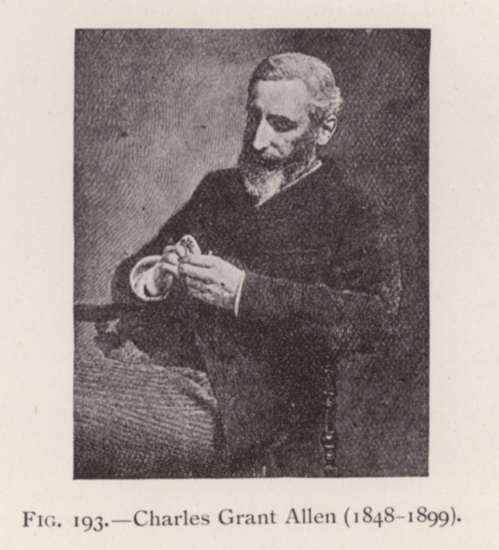 Charles Grant Allen (1848-1899), portret (zdjęcie czarno-białe) autorstwa English Photographer