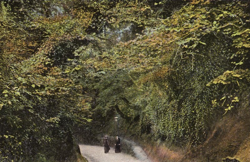 Chine Hollow, Shanklin autorstwa English Photographer