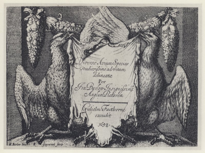 F Barlow, Diversae avium species, G Faithorne 1658 (zdjęcie czarno-białe) autorstwa English Photographer