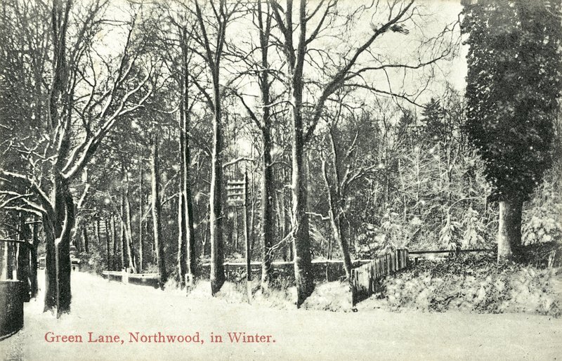 Green Lane, Northwood (zdjęcie czarno-białe) autorstwa English Photographer
