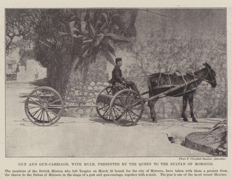 Gun and Gun-Carriage z Mule, podarowany przez królową sułtanowi Maroka autorstwa English Photographer