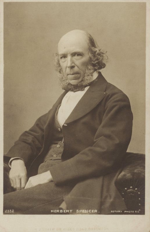 Herbert Spencer (1820-1903), angielski filozof, teoretyk polityki, biolog i socjolog. autorstwa English Photographer