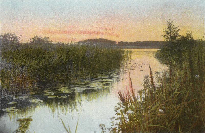 Hoveton Broad autorstwa English Photographer