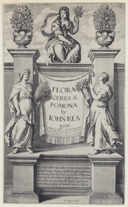 J Rea, Flora, Ceres i Pomona, R Marriott 1665 (zdjęcie czarno-białe) autorstwa English Photographer