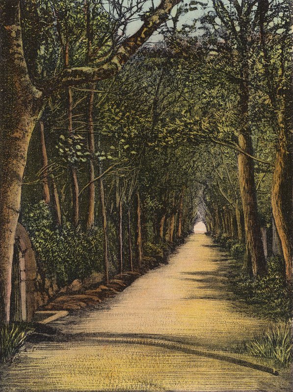 Jersey: Vinchelez Lane (kolorowe zdjęcie) autorstwa English Photographer