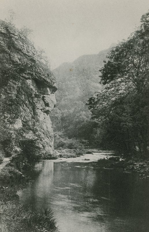 Lions Face Rock, Dovedale autorstwa English Photographer