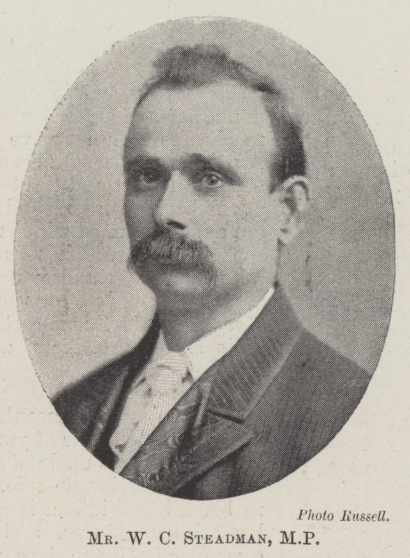 Pan WC Steadman, MP autorstwa English Photographer