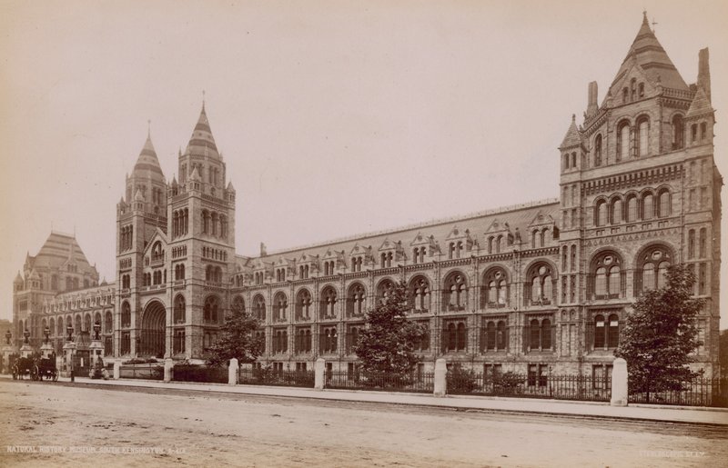 Muzeum Historii Naturalnej, South Kensington, Londyn autorstwa English Photographer