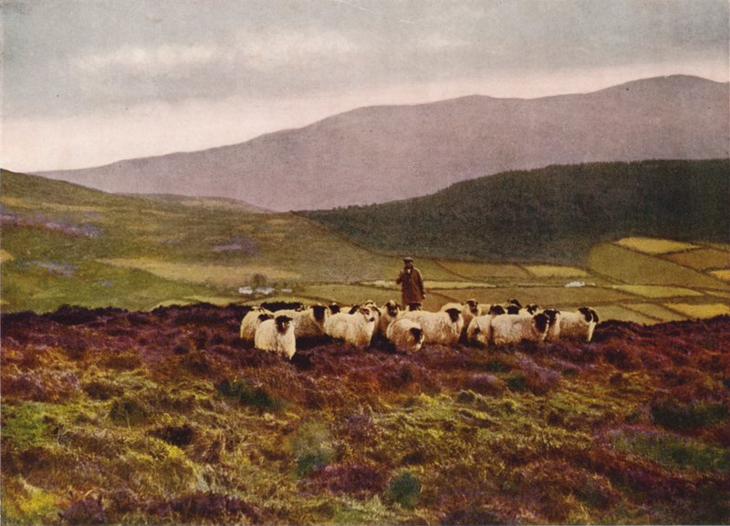 W górach Mourne w hrabstwie Down (zdjęcie kolorowe) autorstwa English Photographer