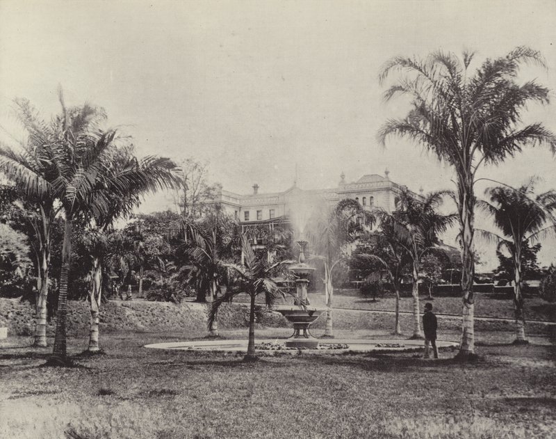 Palmy i Fontanna, Ogrody Botaniczne, Brisbane autorstwa English Photographer