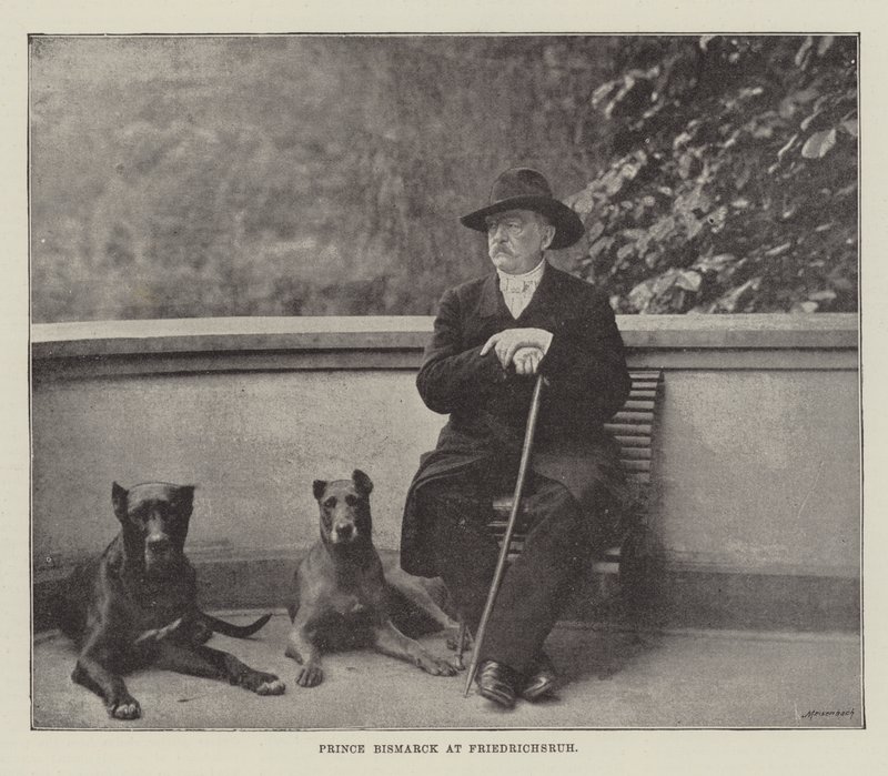 Książę Bismarck w Friedrichsruh autorstwa English Photographer