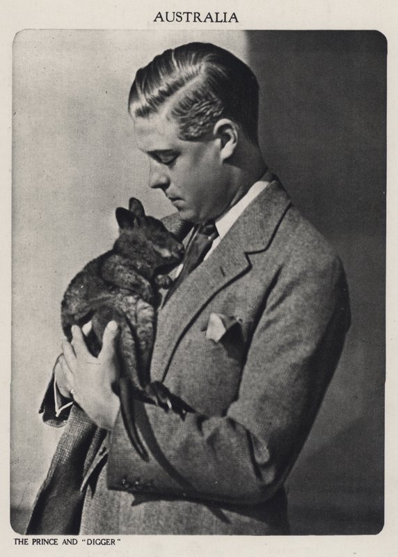 Prince of Wales and Digger, mały kangur (zdjęcie czarno-białe) autorstwa English Photographer
