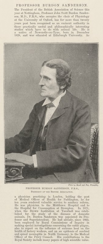 Profesor Burdon Sanderson, FRS, Prezes Brytyjskiego Stowarzyszenia autorstwa English Photographer