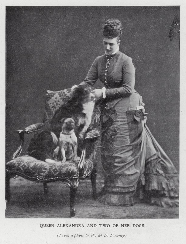 Queen Alexandra i dwa jej psy (b/w zdjęcie) autorstwa English Photographer