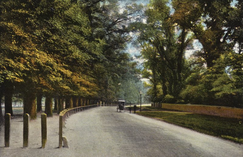 Queens Road, plecy autorstwa English Photographer