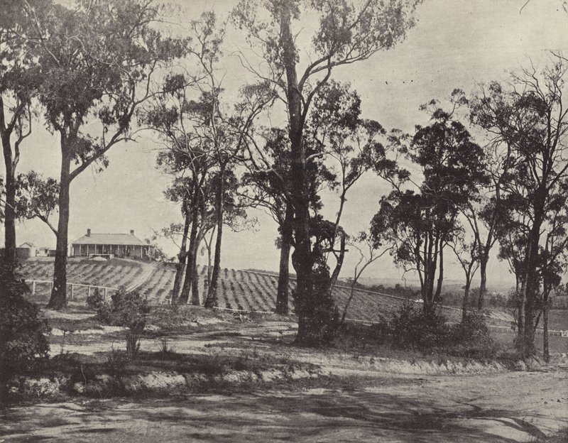 Scena na Gembrook Road, Victoria autorstwa English Photographer
