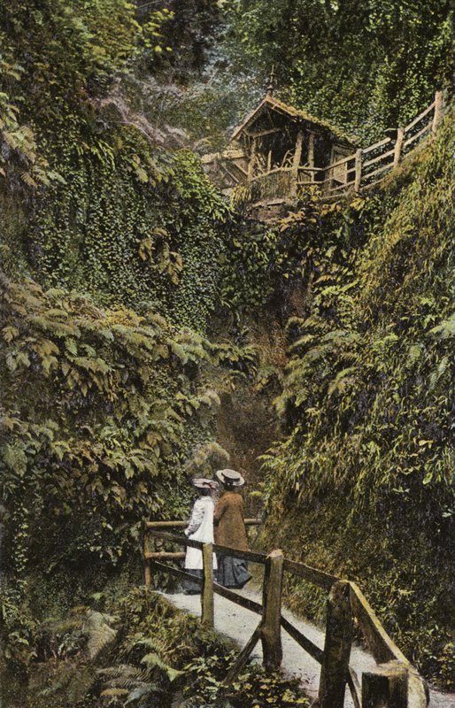 Chińczyk Shanklin autorstwa English Photographer