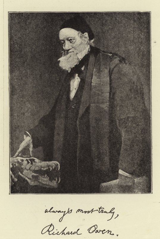 Sir Richard Owen, KCB, FRS autorstwa English Photographer