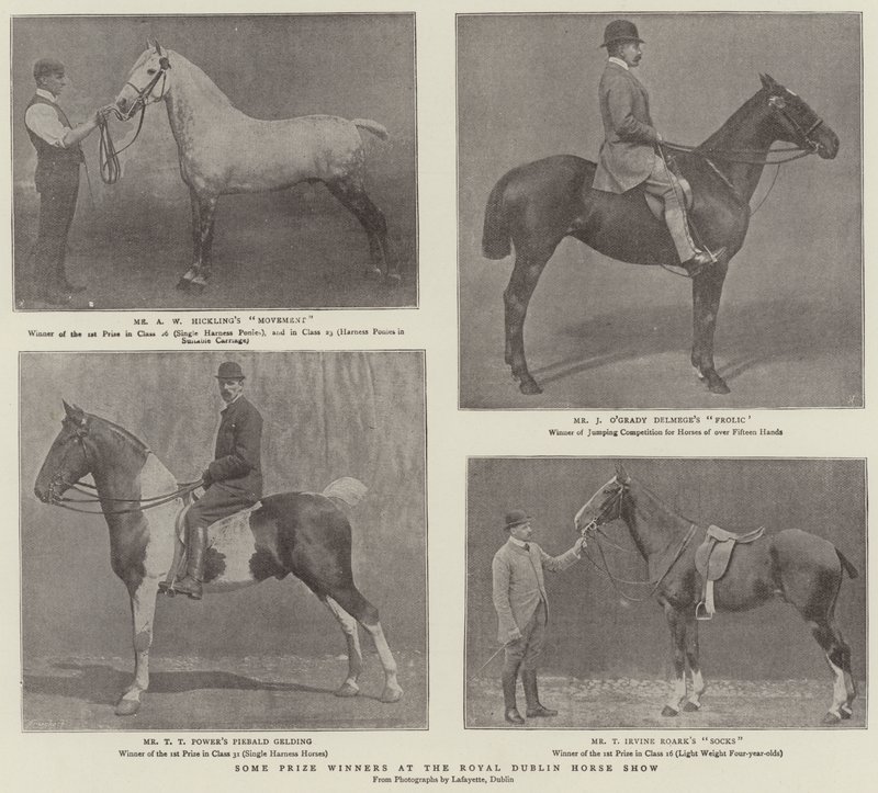 Niektórzy zdobywcy nagród na Royal Dublin Horse Show autorstwa English Photographer