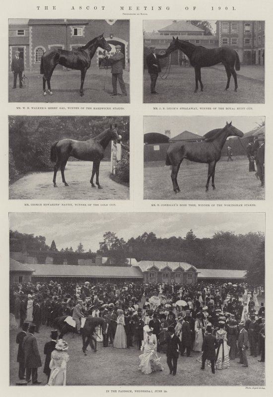 Spotkanie Ascot w 1901 r. autorstwa English Photographer