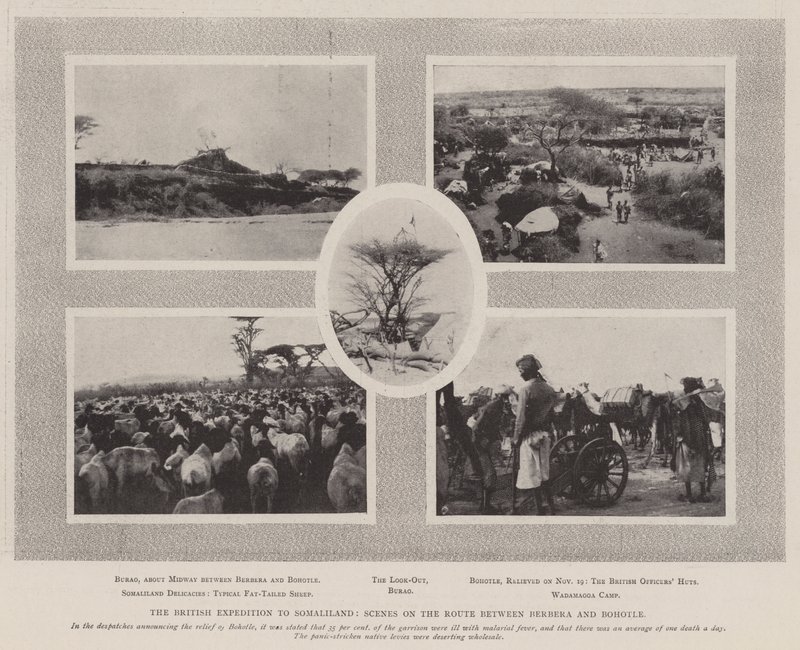 Brytyjska wyprawa do Somalilandu, scena na trasie między Berberą a Bohotle autorstwa English Photographer