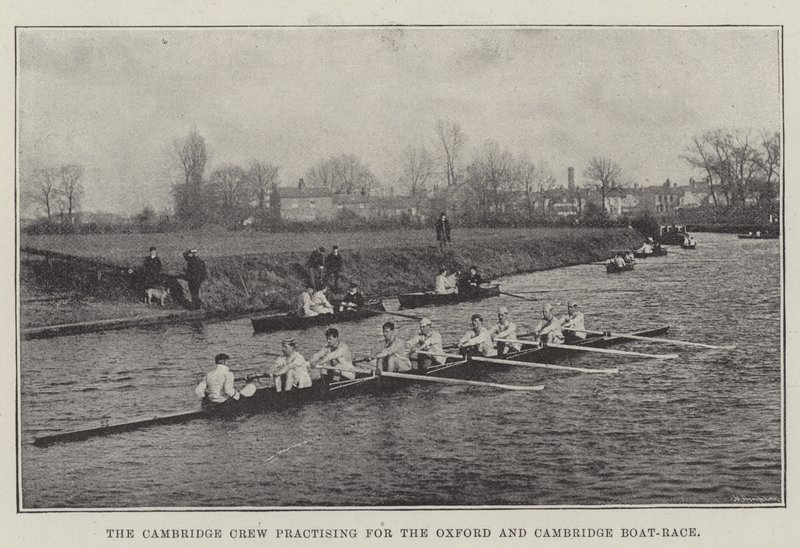 The Cambridge Crew ćwiczy na Oxford i Cambridge Boat-Race autorstwa English Photographer